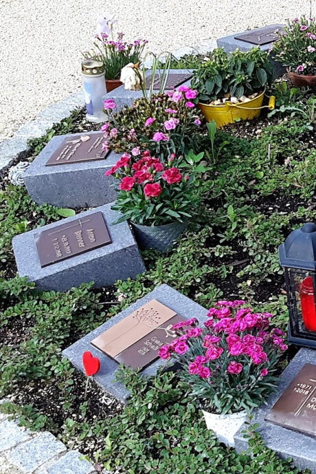 Herbrechtingen - PROFRIEDHOF - Vielfalt Der Pflegebefreiten Grabstätte